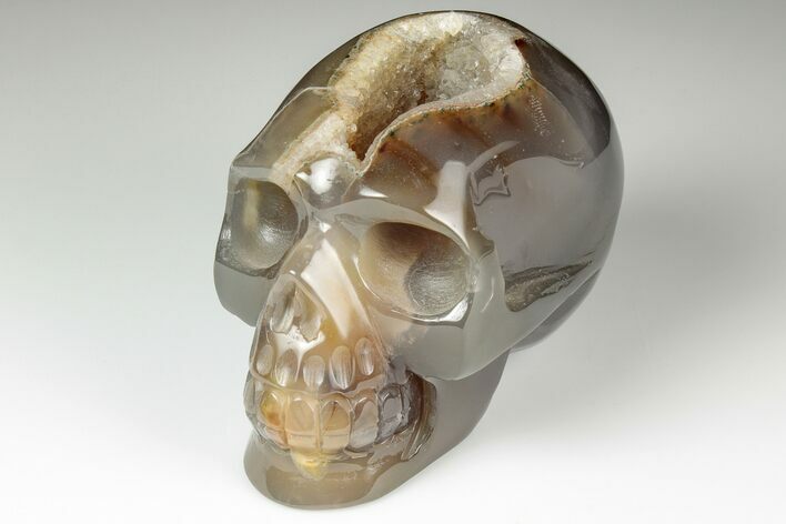 Polished Banded Agate Skull with Quartz Crystal Pocket #190523